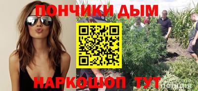 стафф Заводоуковск