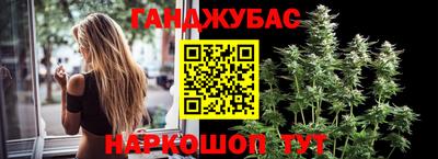крисы Ипатово