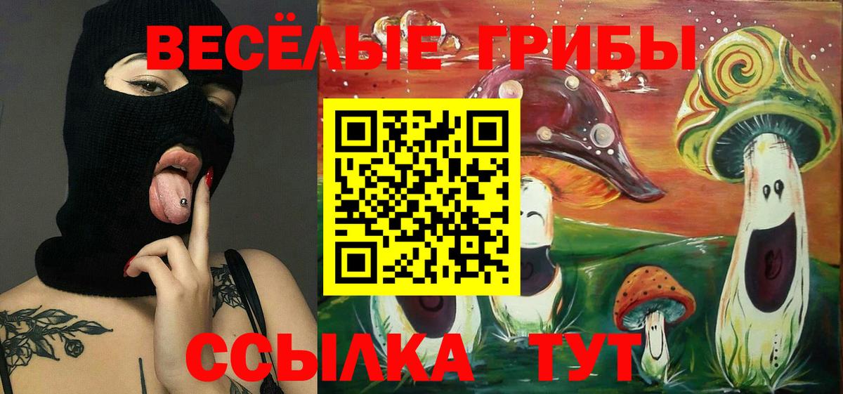 Галлюциногенные грибы MAGIC MUSHROOMS Михайловка