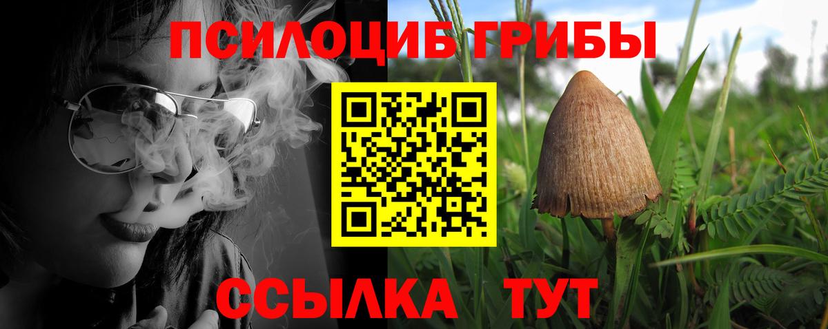 Михайловка  Галлюциногенные грибы Psilocybine cubensis  Вход с VPN 